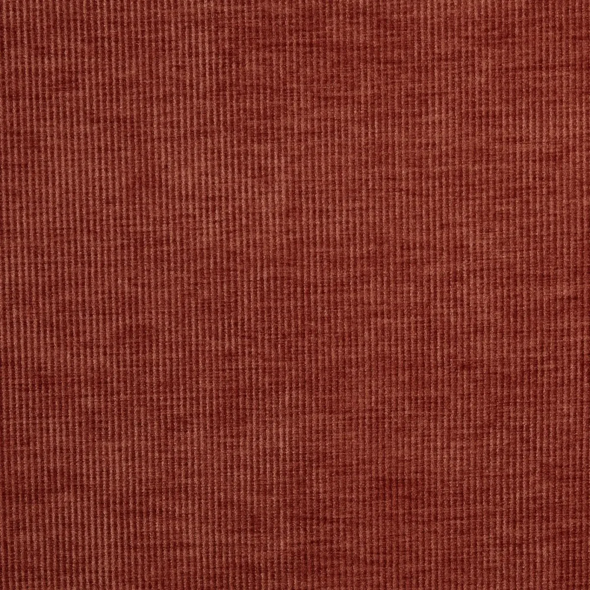 Cord Fabric - Spice by red plain velvet-chenille fabric from Prestigious Textiles