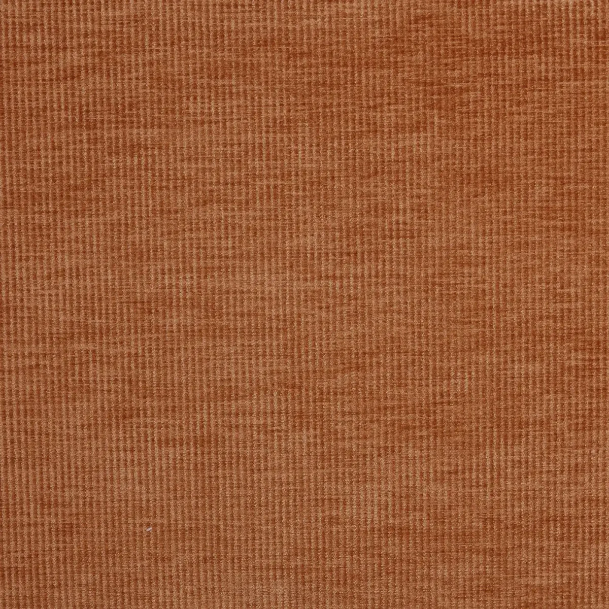 Cord Fabric - Copper by orange plain velvet-chenille fabric from Prestigious Textiles
