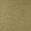 green striped cotton fabric from Sanderson