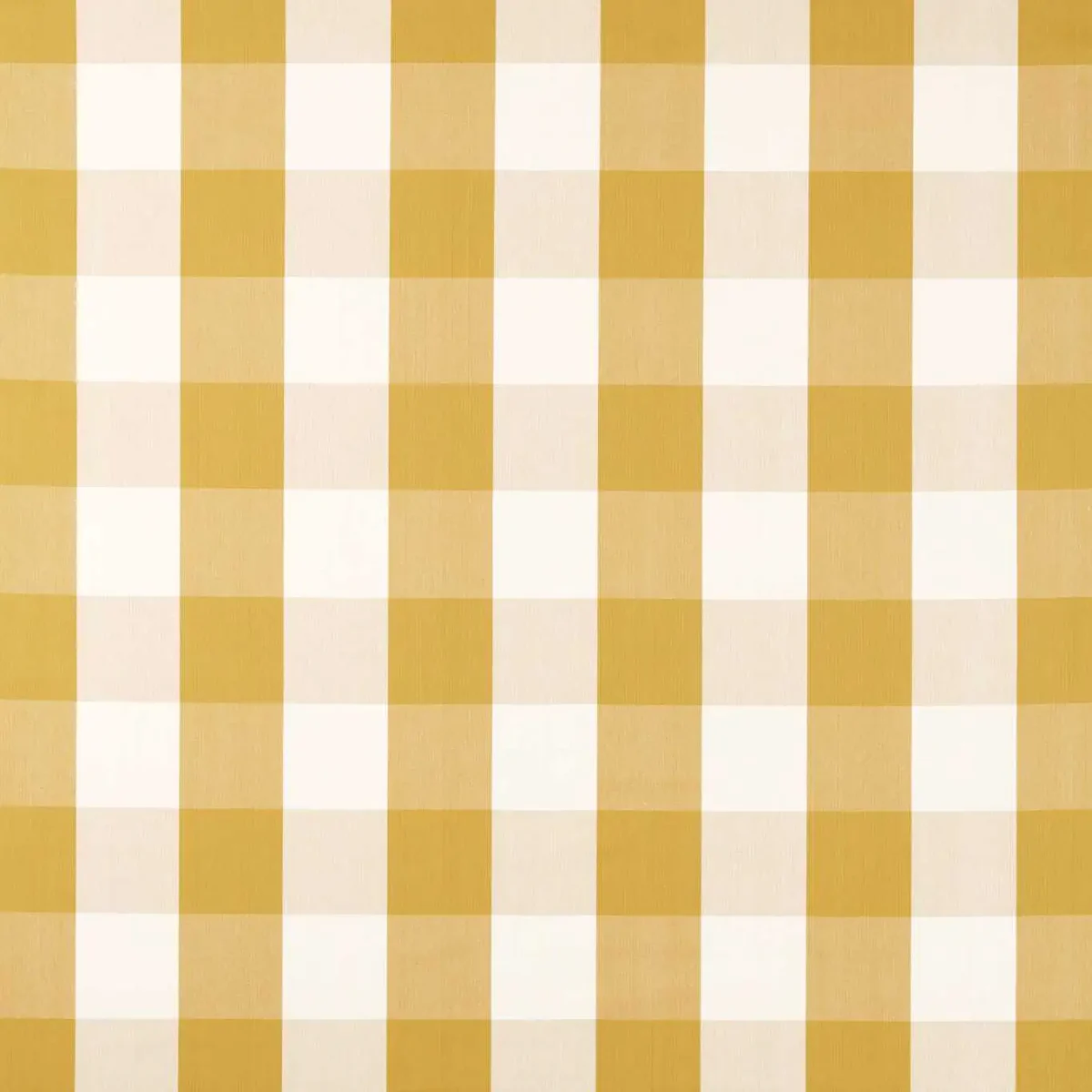 Madras Fabric - Check Golden Knot by yellow checked woven fabric from Sanderson