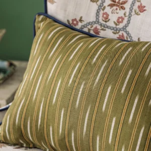 green striped cushion with sofa