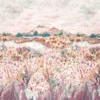 orange botanical printed fabric from Clarke & Clarke
