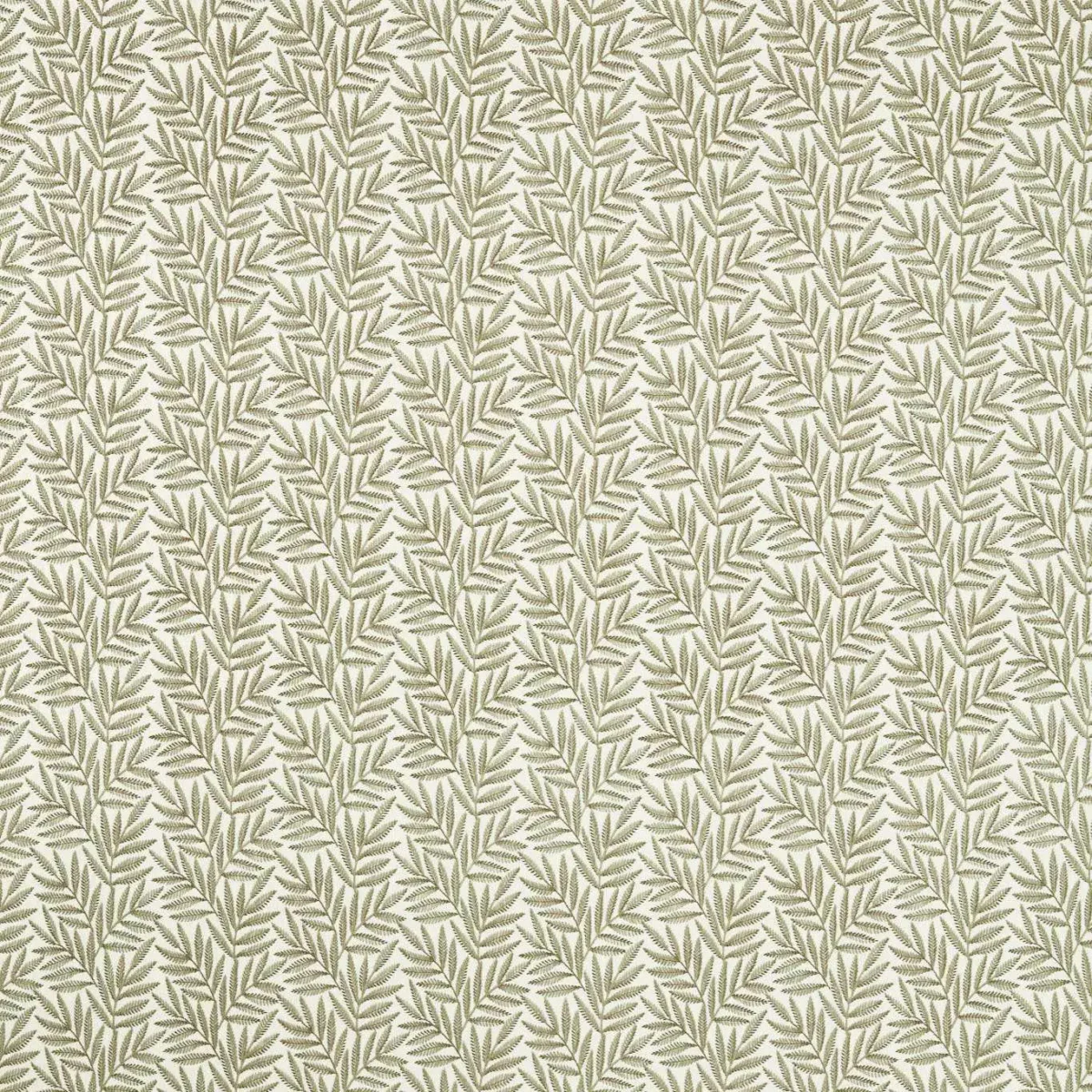 green botanical embroideried fabric from Clarke & Clarke