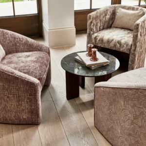 brown contemporary armchair with coffee table and cushion