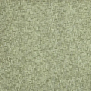 green checked woven fabric from Prestigious Textiles