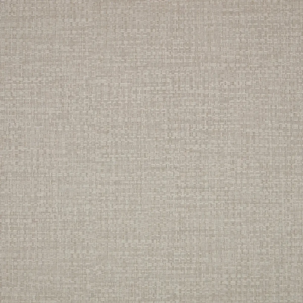 Tali Wallpaper - Catkin by Tali Wallpaper from Romo Otillo Wallpapers collection - black-grey plain