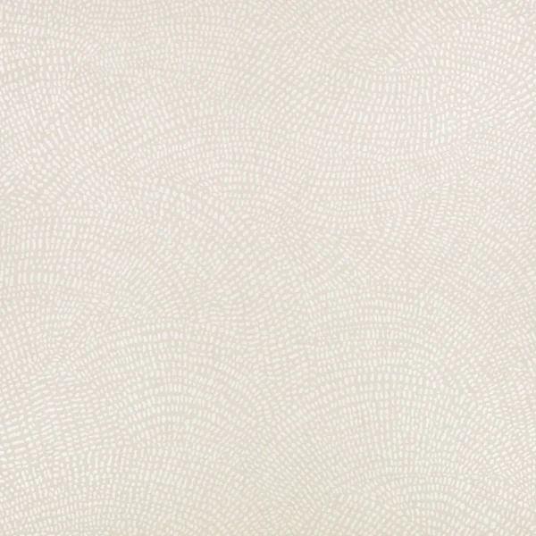 Nivu Wallpaper - Shell by Nivu Wallpaper from Romo Otillo Wallpapers collection - white contemporary