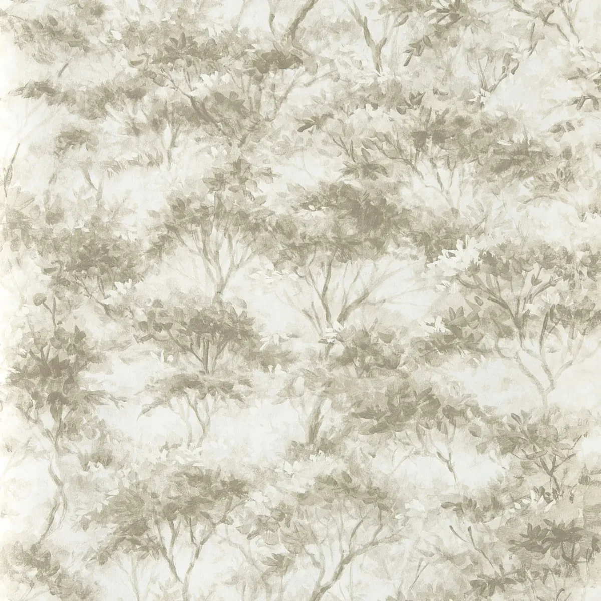 Boschetto Wallpaper from Clarke & Clarke Elements Wallpapers collection - black-grey botanical