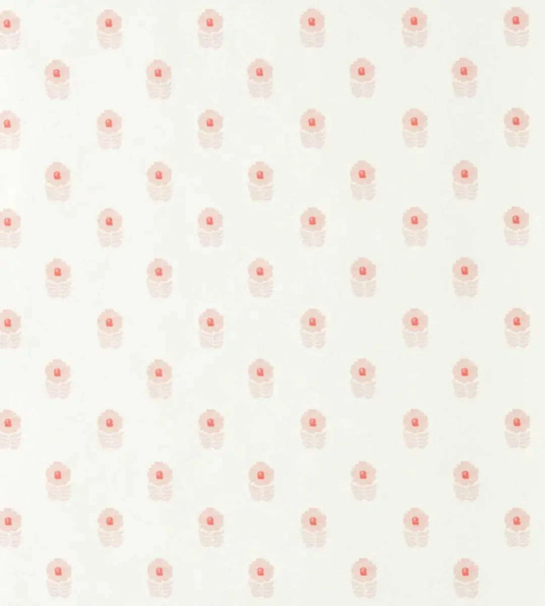 Ditsy Daisy Wallpaper - Blush by Ditsy Daisy Wallpaper from Scion Pomona Wallpapers collection - pink spotted