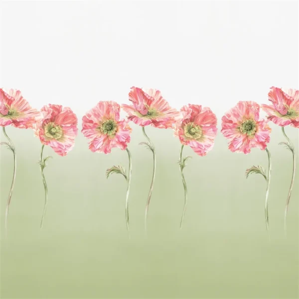 Coquelicot Wallpaper - Sage by Coquelicot Wallpaper from Designers Guild Palette Provencale Wallpapers collection - green botanical