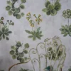 Primevère Wallpaper from Designers Guild Palette Provencale Wallpapers collection - green botanical