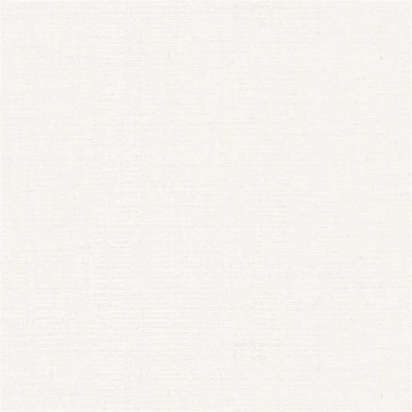 Tamega Fabric - Alabaster by Tamega Fabric from Designers Guild Isere collection - white plain woven