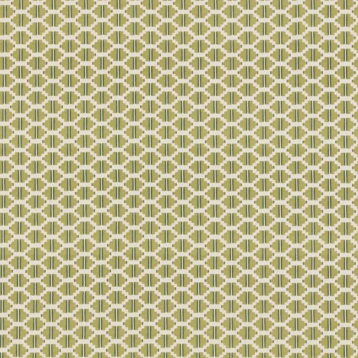 Raye Fabric - Pistachio swatch