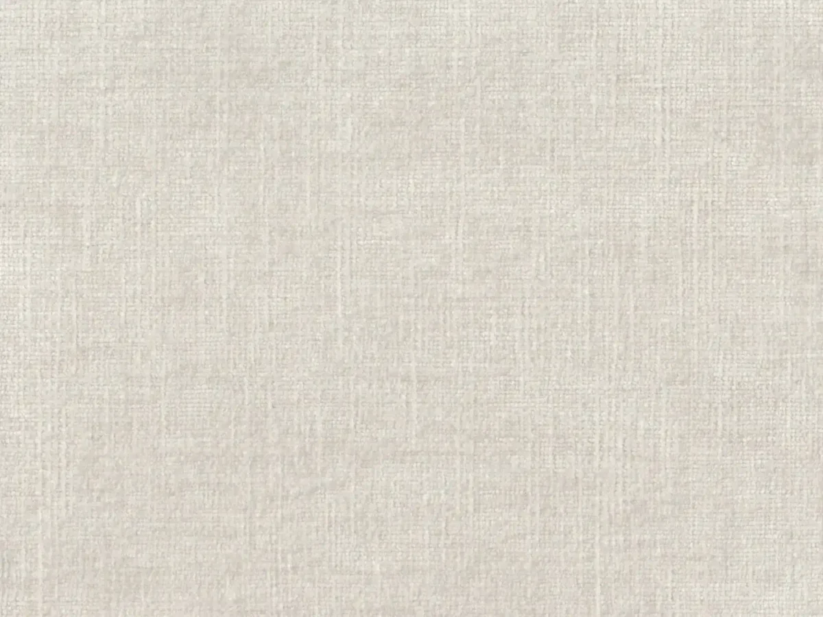 Celina Fabric - Ghost by Celina Fabric from Cristina Marrone Celina collection - black-grey plain velvet-chenille