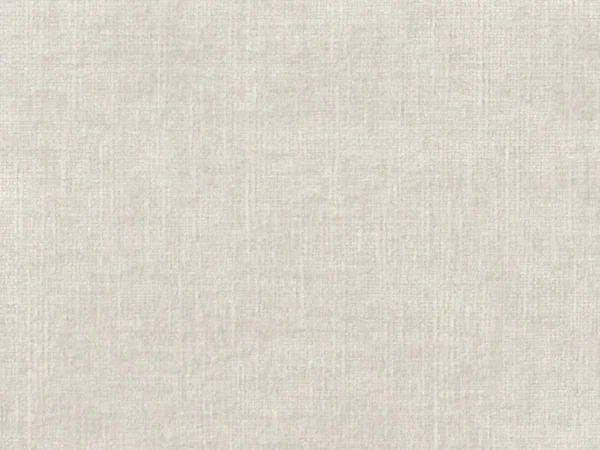 Celina Fabric - Ghost by Celina Fabric from Cristina Marrone Celina collection - black-grey plain velvet-chenille