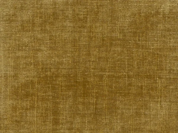 Celina Fabric - Harvest by Celina Fabric from Cristina Marrone Celina collection - brown plain velvet-chenille