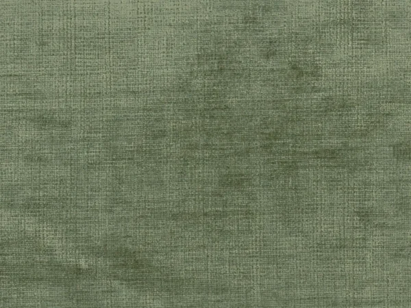 Celina Fabric - Pickle by Celina Fabric from Cristina Marrone Celina collection - green plain velvet-chenille