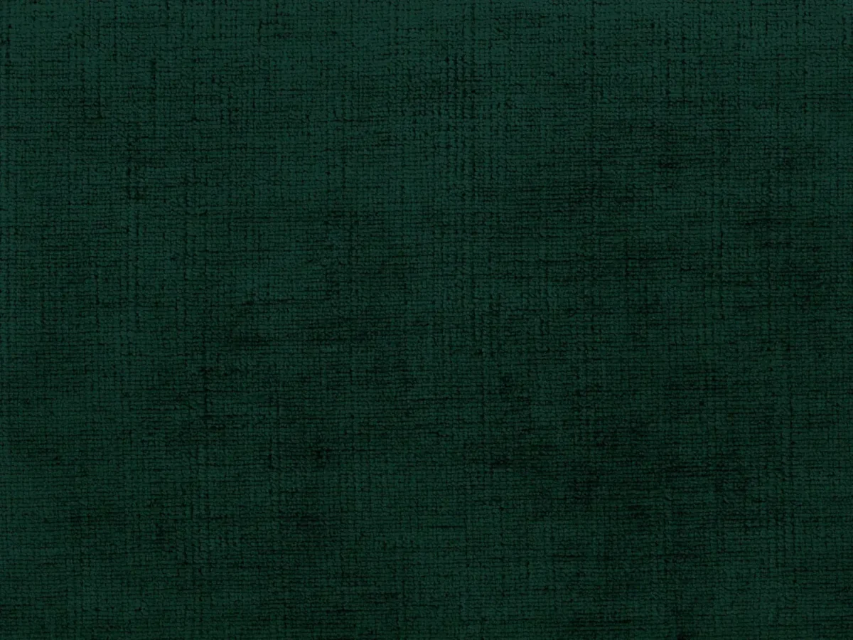 Celina Fabric - Alpine by Celina Fabric from Cristina Marrone Celina collection - green plain velvet-chenille