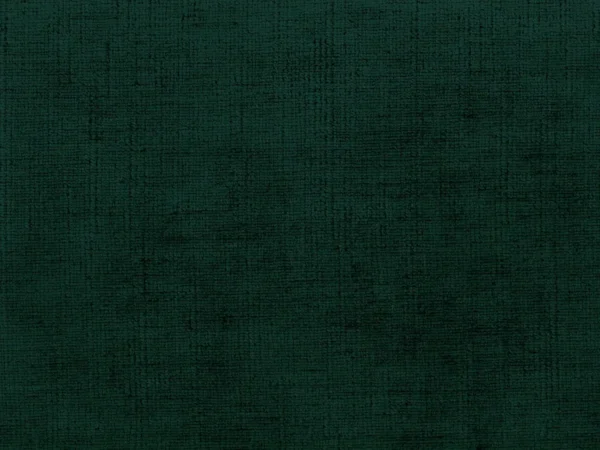 Celina Fabric - Alpine by Celina Fabric from Cristina Marrone Celina collection - green plain velvet-chenille