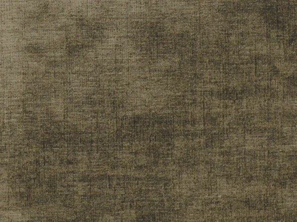 Celina Fabric - Bark by Celina Fabric from Cristina Marrone Celina collection - green plain velvet-chenille