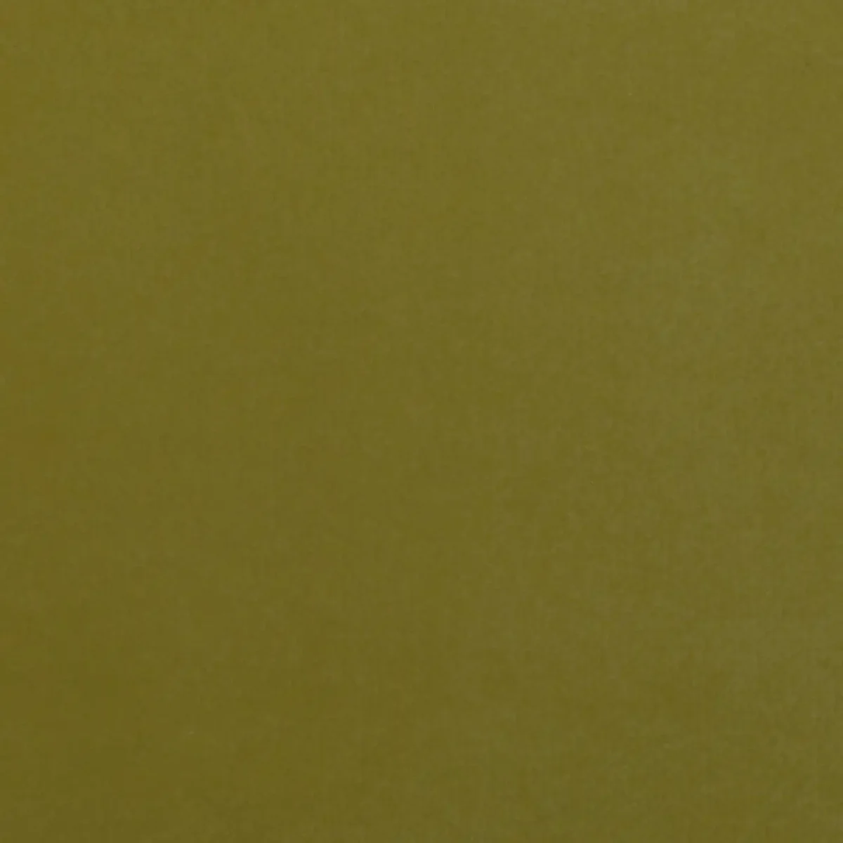Essenza Fabric - Willow by Essenza Fabric from Cristina Marrone Essenza collection - green plain velvet-chenille