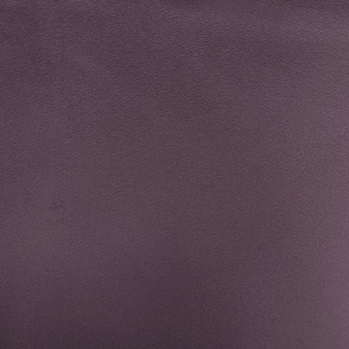 Essenza Fabric - Wisteria by Essenza Fabric from Cristina Marrone Essenza collection - purple plain velvet-chenille