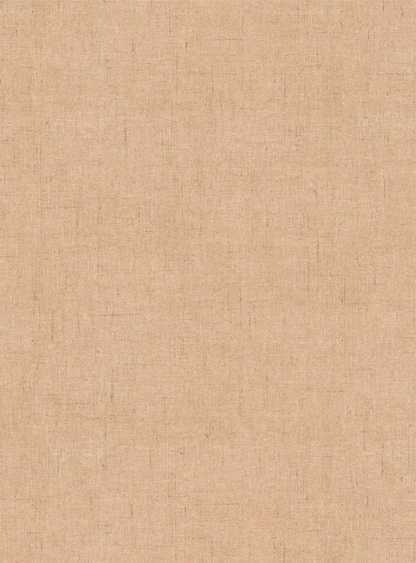 Giardino Fabric - GIA4253 by Giardino Fabric from Cristina Marrone Giardino collection - brown plain cotton