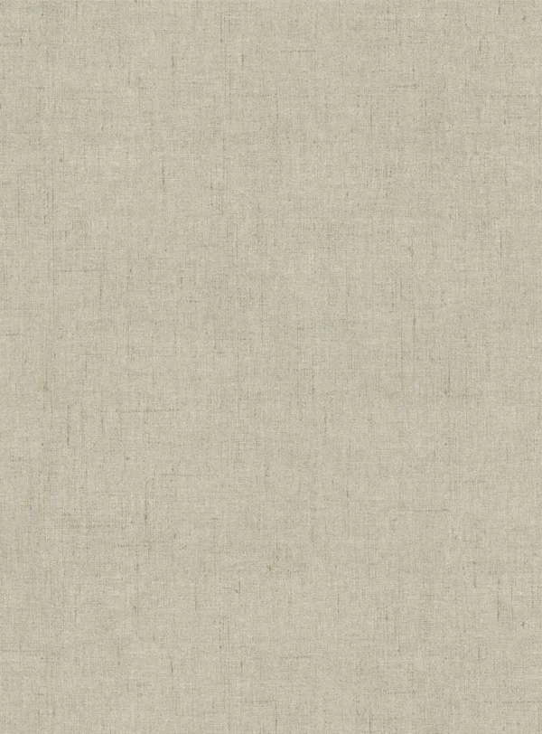 Giardino Fabric - GIA4259 by Giardino Fabric from Cristina Marrone Giardino collection - black-grey plain cotton