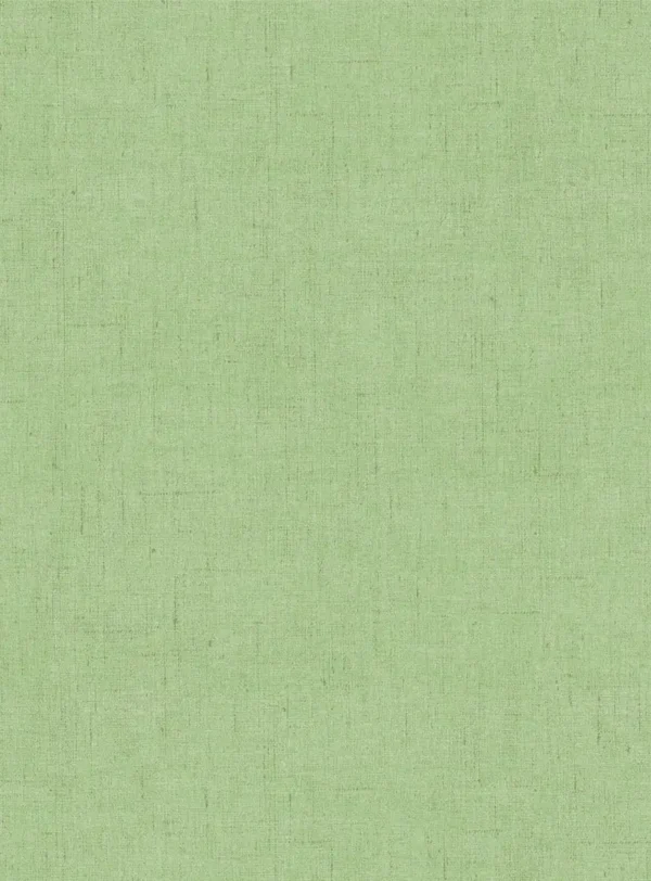 Giardino Fabric - GIA4277 by Giardino Fabric from Cristina Marrone Giardino collection - green plain cotton