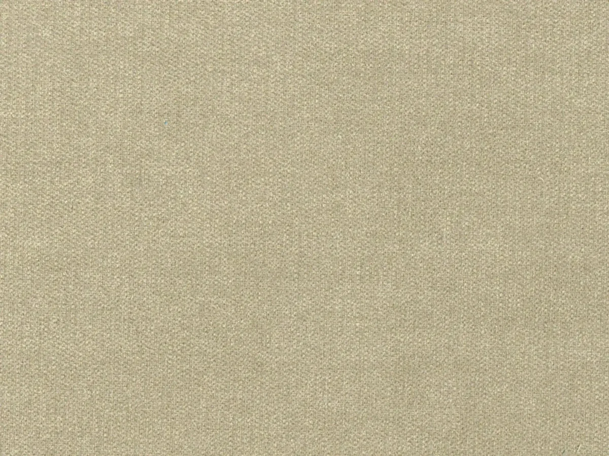 Luna Fabric - Sand by Luna Fabric from Cristina Marrone Luna collection - black-grey plain velvet-chenille