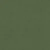 Luna Fabric from Cristina Marrone Luna collection - green plain velvet-chenille