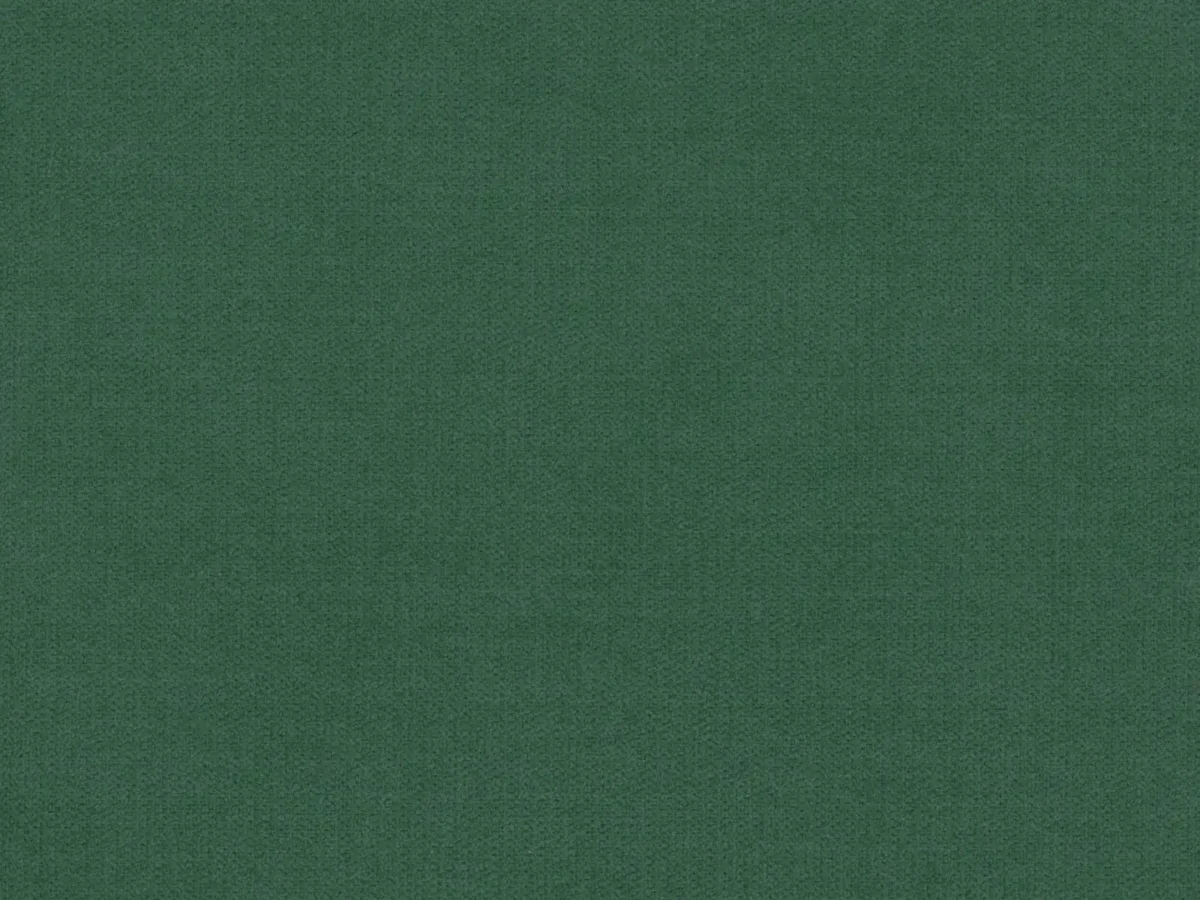 Luna Fabric - Forest by Luna Fabric from Cristina Marrone Luna collection - green plain velvet-chenille