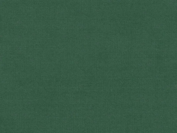 Luna Fabric - Forest by Luna Fabric from Cristina Marrone Luna collection - green plain velvet-chenille