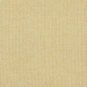 Padua Fabric from Cristina Marrone Panua collection - yellow plain woven