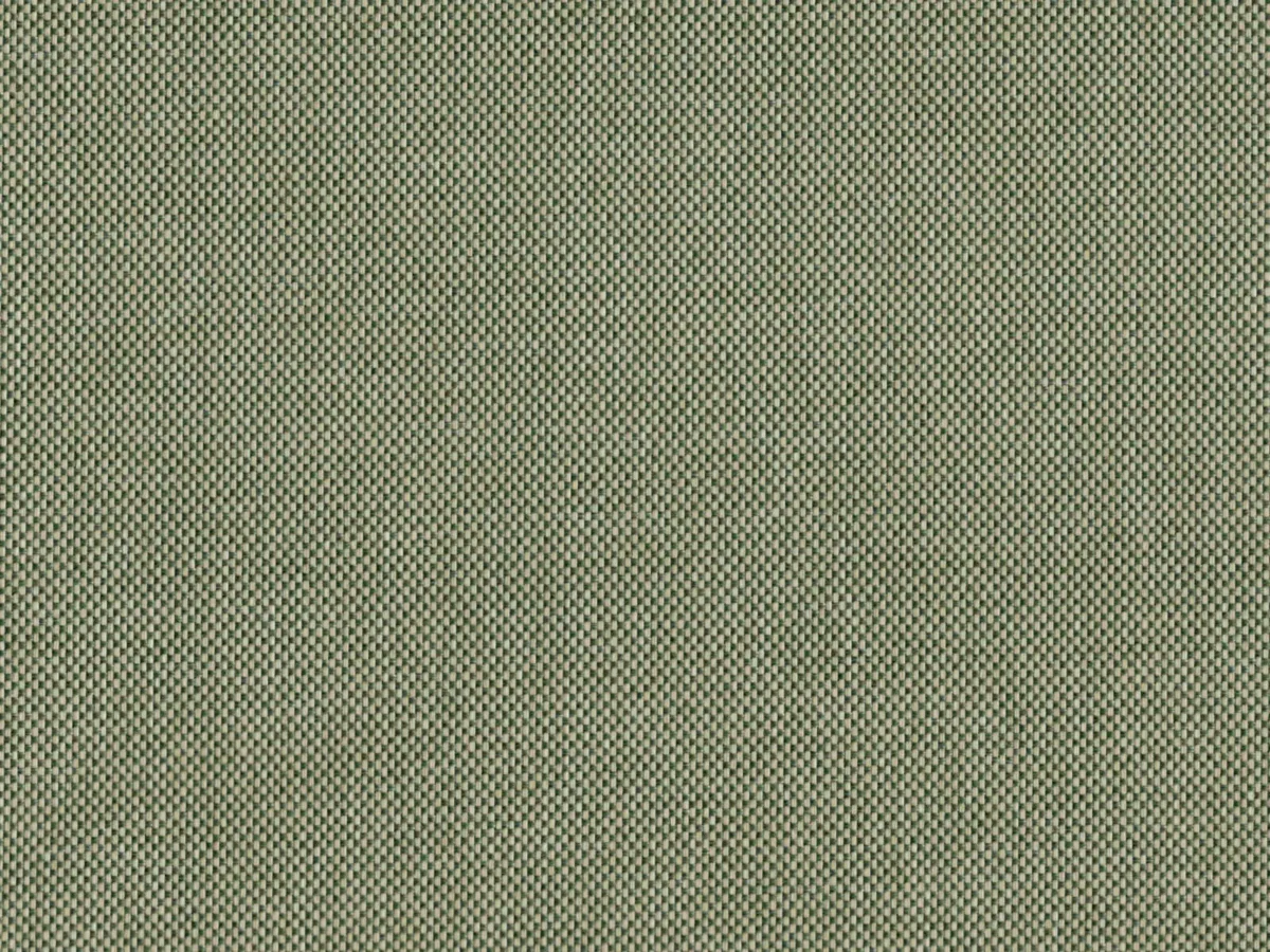 Padua Fabric - Junebug by Padua Fabric from Cristina Marrone Panua collection - green plain woven