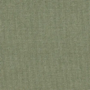 Padua Fabric from Cristina Marrone Panua collection - green plain woven