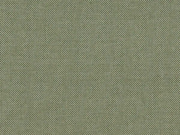 Padua Fabric - Junebug by Padua Fabric from Cristina Marrone Panua collection - green plain woven