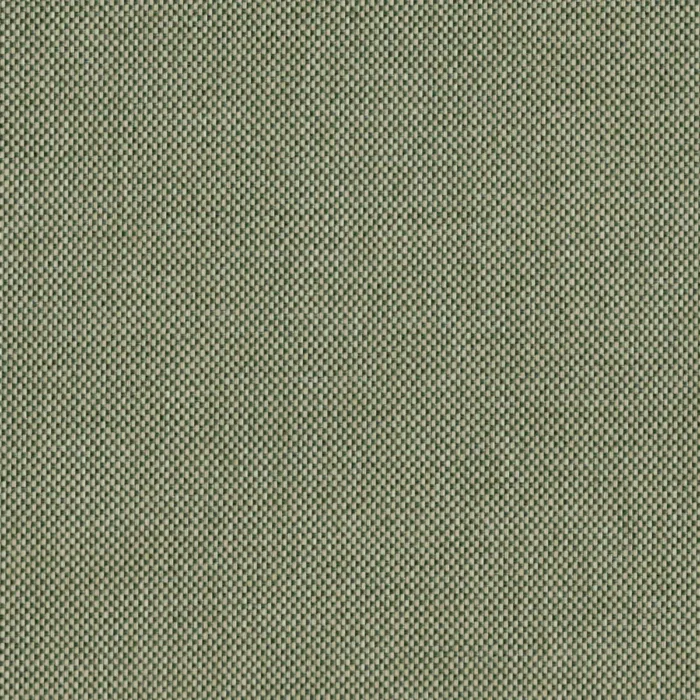 Padua Fabric - Junebug swatch