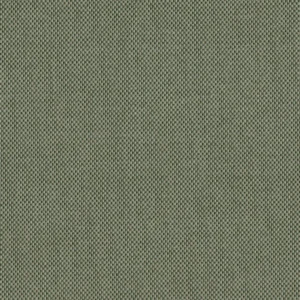 Padua Fabric from Cristina Marrone Panua collection - green plain woven