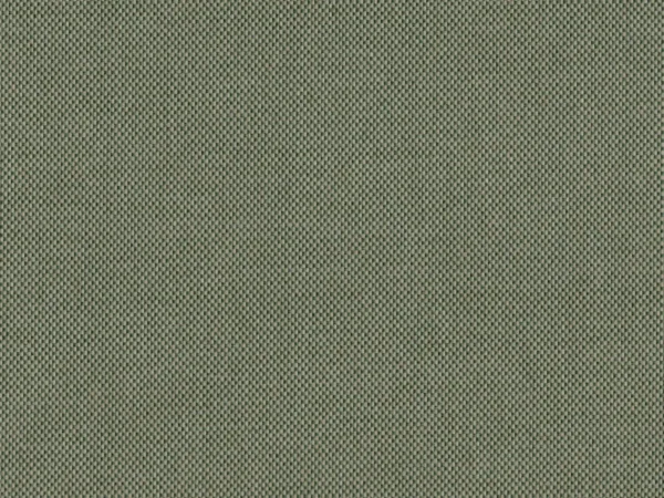Padua Fabric from Cristina Marrone Panua collection - green plain woven