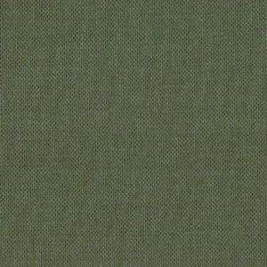 Padua Fabric from Cristina Marrone Panua collection - green plain woven