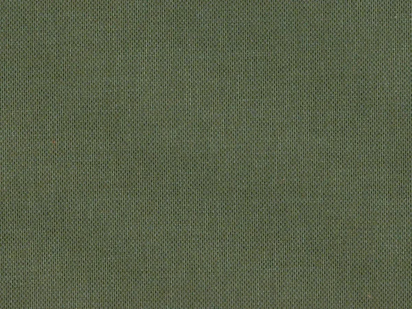 Padua Fabric - Amazonite by Padua Fabric from Cristina Marrone Panua collection - green plain woven