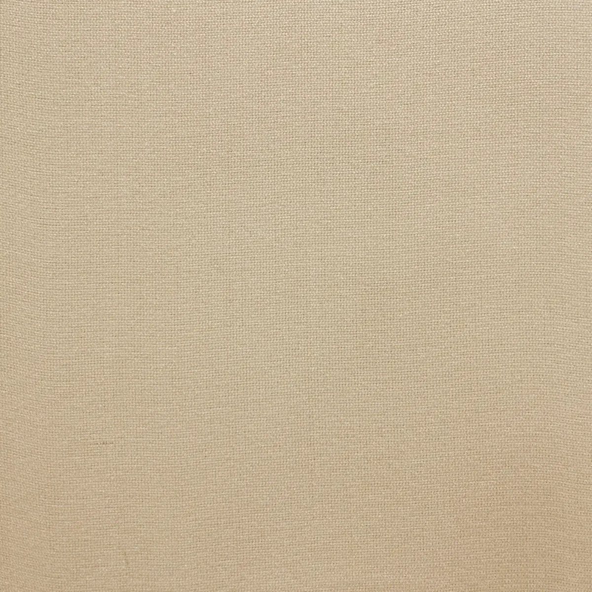 Roma Fabric - Vanilla by Roma Fabric from Cristina Marrone Roma collection - neutral plain velvet-chenille
