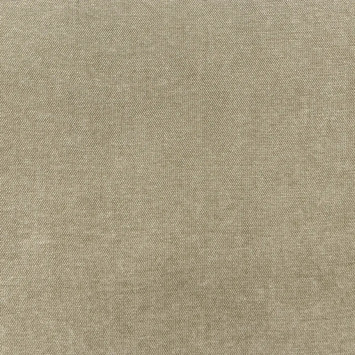 Roma Fabric - Oatmeal by Roma Fabric from Cristina Marrone Roma collection - black-grey plain velvet-chenille