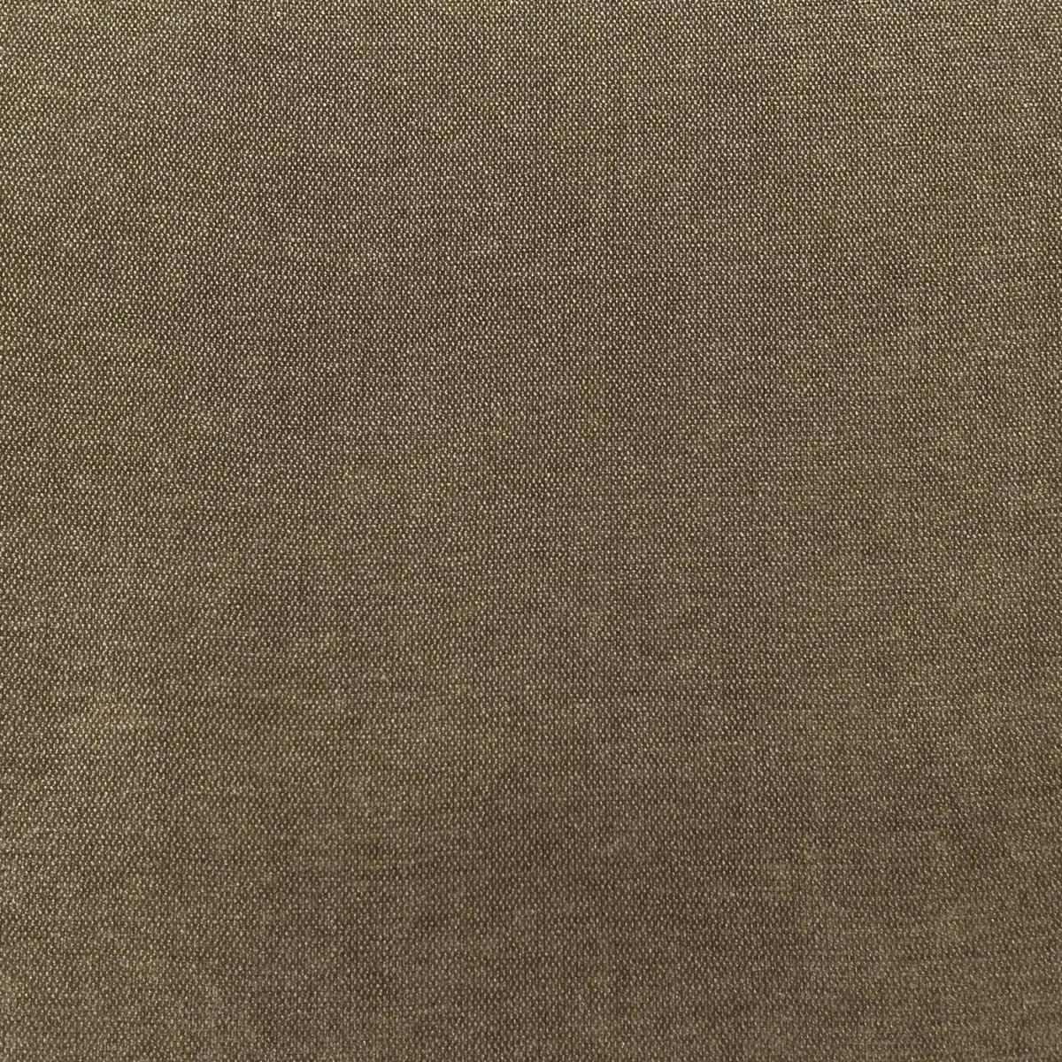 Roma Fabric - Paddle by Roma Fabric from Cristina Marrone Roma collection - black-grey plain velvet-chenille