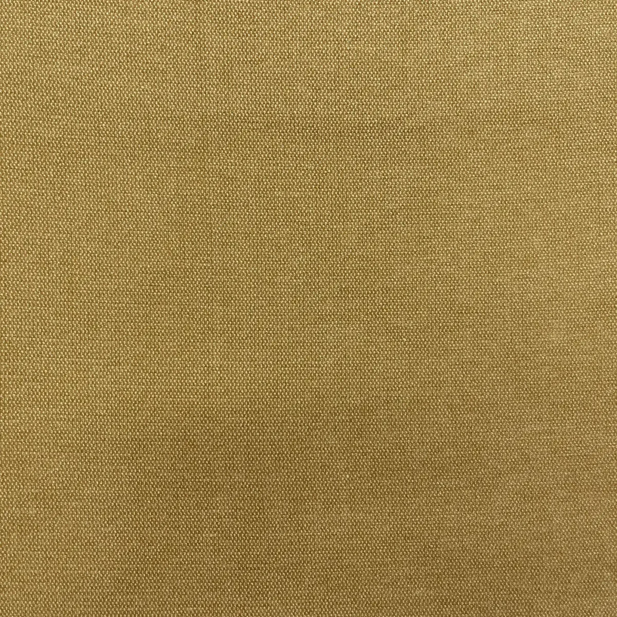Roma Fabric - Sunny by Roma Fabric from Cristina Marrone Roma collection - yellow plain velvet-chenille