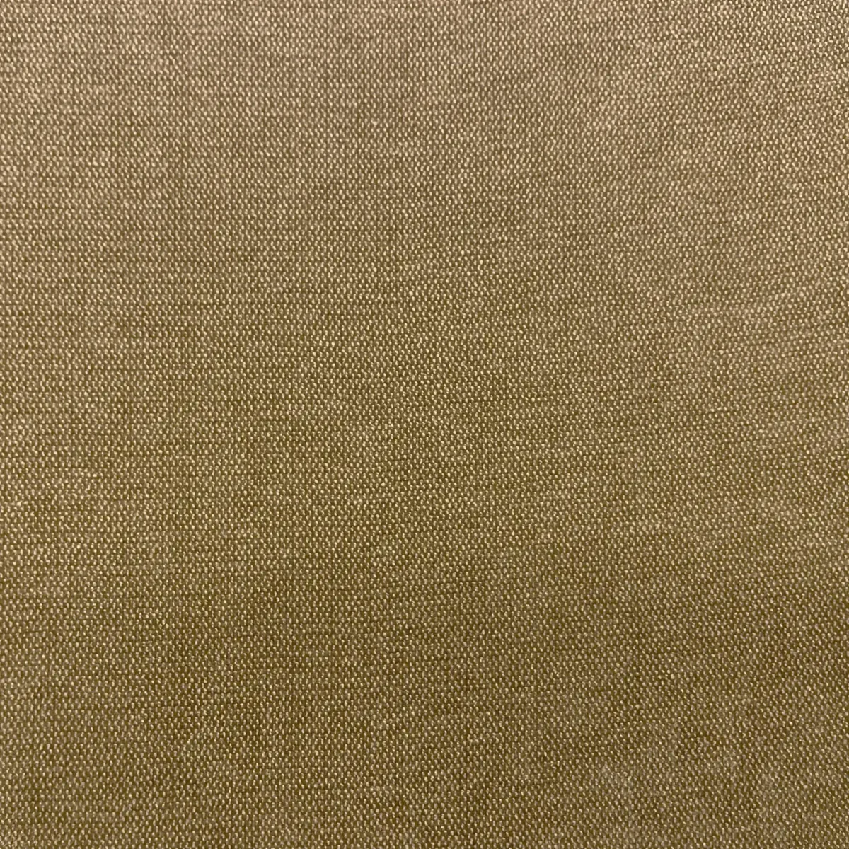 Roma Fabric from Cristina Marrone Roma collection - brown plain velvet-chenille