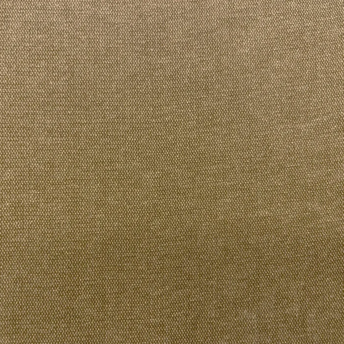 Roma Fabric - Dunes swatch