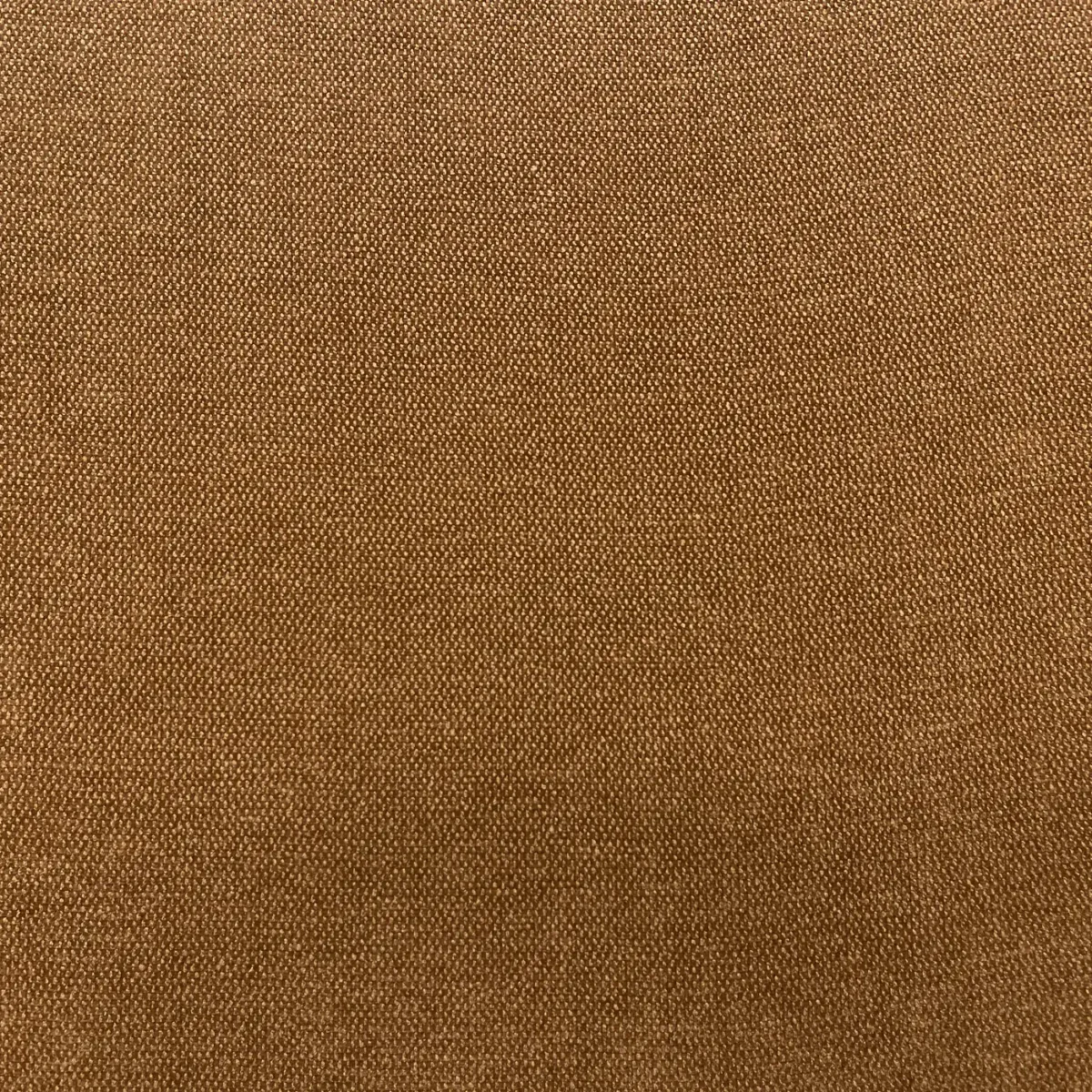 Roma Fabric from Cristina Marrone Roma collection - brown plain velvet-chenille