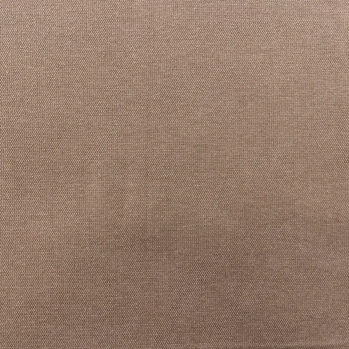 Roma Fabric - Rosebud by Roma Fabric from Cristina Marrone Roma collection - black-grey plain velvet-chenille